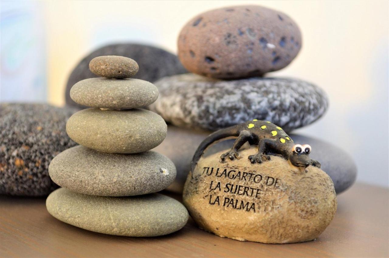 Gecko Lägenhet Tazacorte Exteriör bild